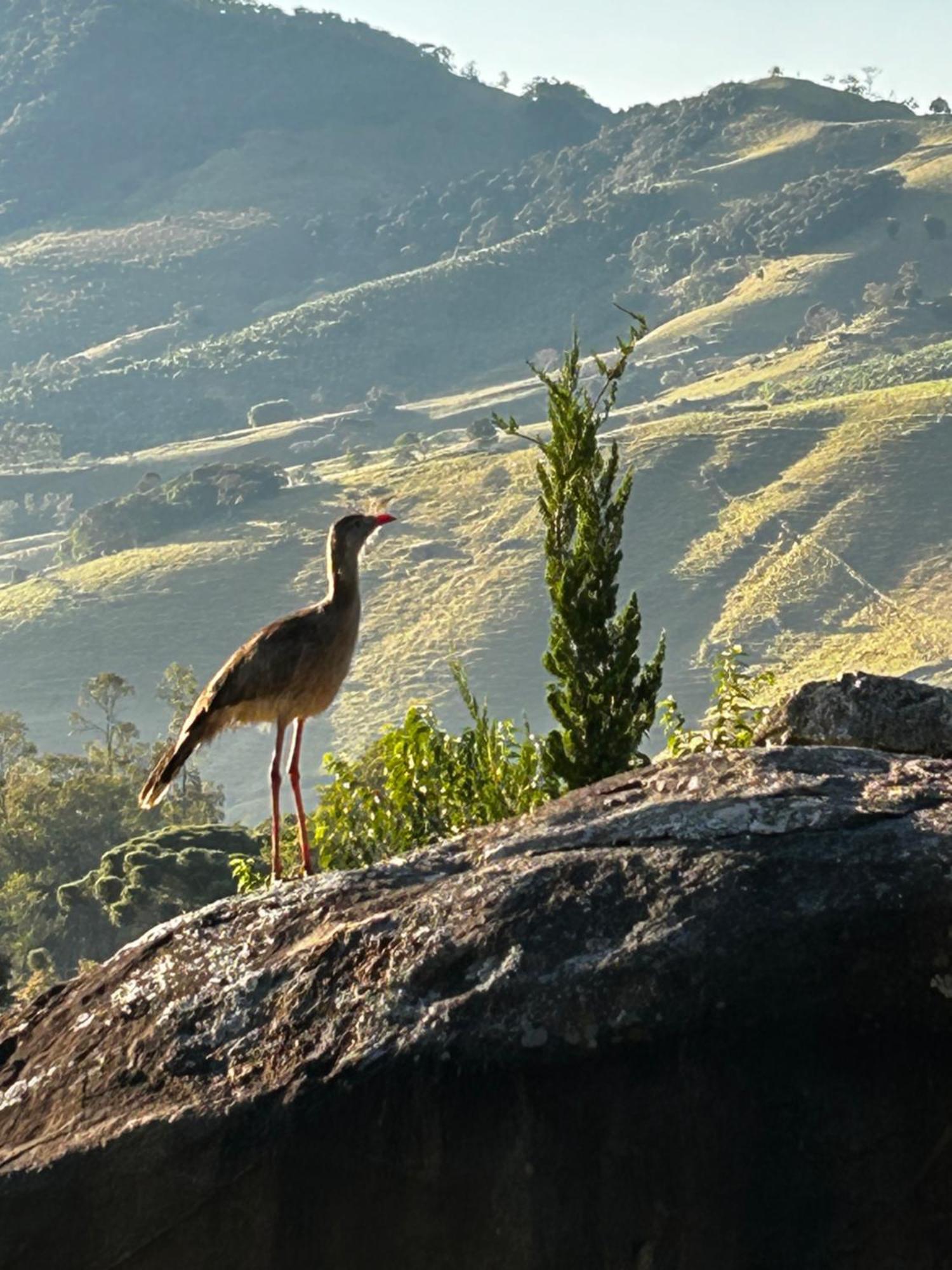 Pousada Terra Dos Passaros São Bento do Sapucaí Kültér fotó